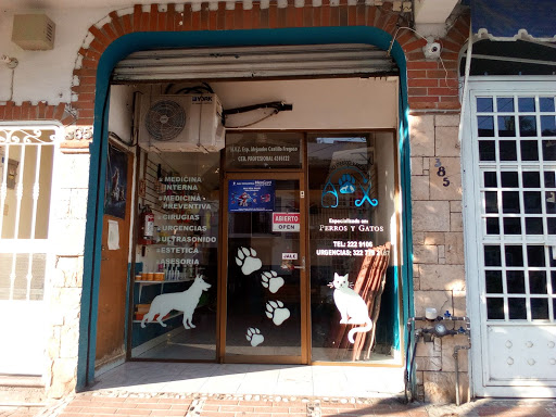 Centro Médico Veterinario