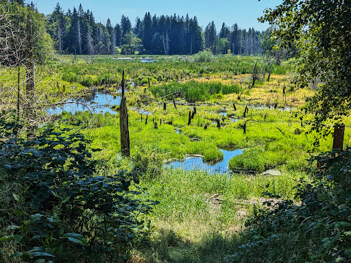Taylor Wetlands Park - Thumbnail
