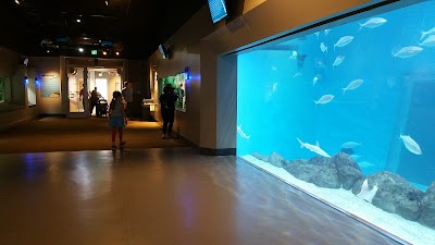 Toledo Zoo Aquarium