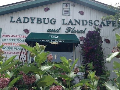 Ladybug Landscapes and Decorah Floral