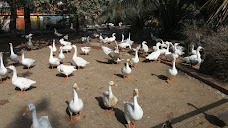 Karachi Zoo Park Karachi