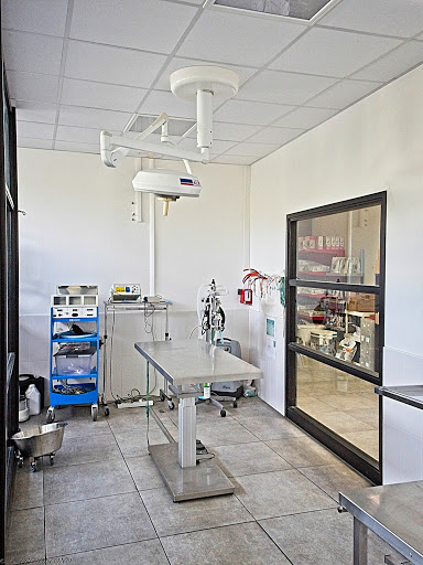 Veterinary Clinic NEMOVET - Thumbnail