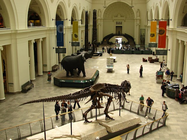 The Field Museum