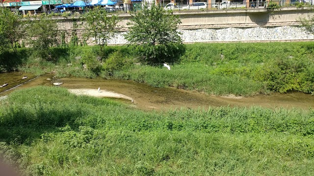 Cheonggyecheon