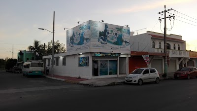 Photos of Marlin Espadas S.A De C.V