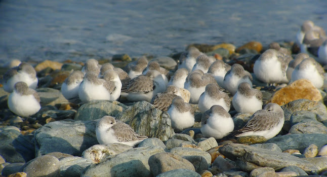 LPO Bretagne (siège social)