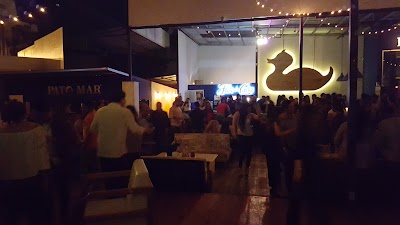 Photos of Pato Mar