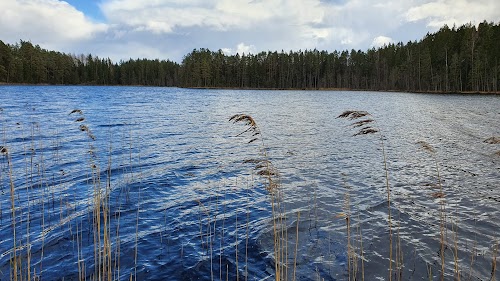 Dižiere