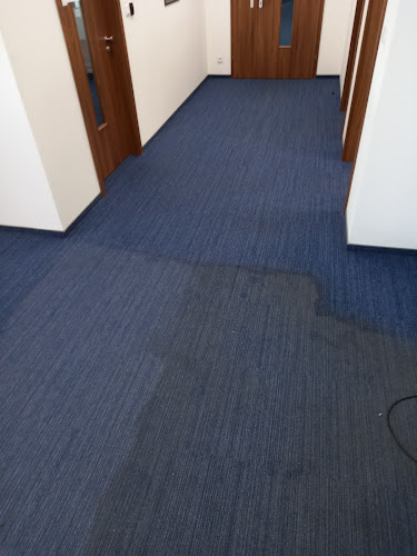 Firma usługowa - czyszczenie tapicerki meblowej, dywanów, biur