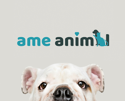 Clínica Veterinária Ame Animal