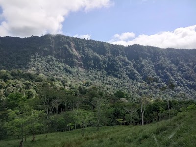 Photos of Finca Tinamaste Capi
