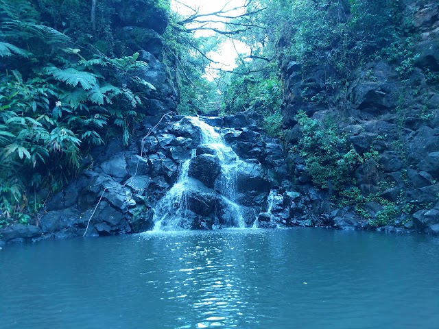 Kalihi Ice ponds