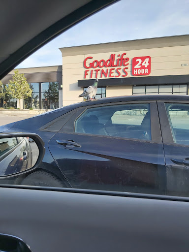 GoodLife Fitness Ajax Taunton and Westney - Thumbnail