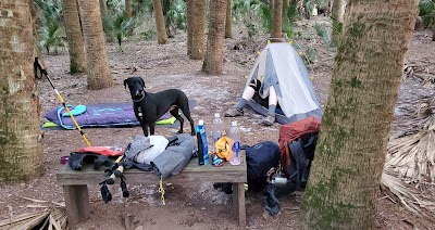 Black Bear Campsite / Shelter