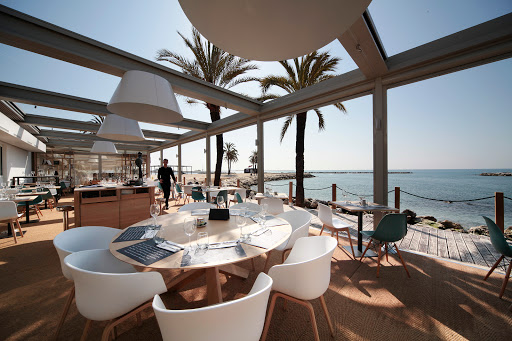 Bay Star - Thumbnail