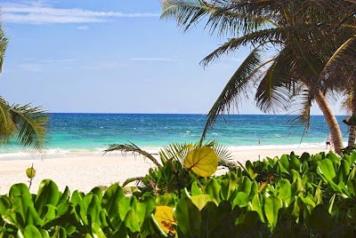 Photos of BuyPlaya Real Estate