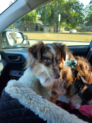High Point Animal Hospital
