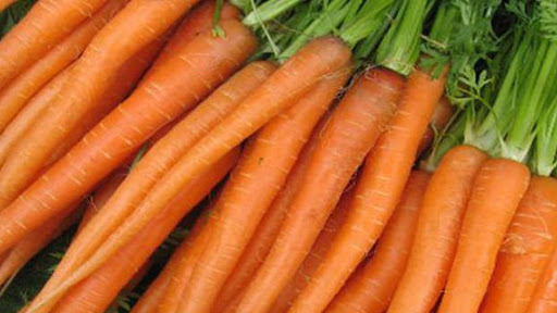 Zanahorias Medrano