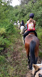 Photo n°16 de Centre Equestre Ecurie Le Grand Puech à Gardanne (Centre équestre)
