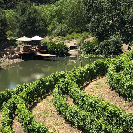 Solvang Wine Tours Logo