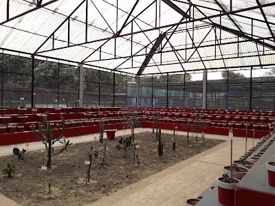 Photos of Botanical Garden