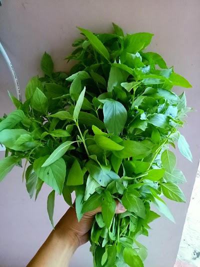 Photos of Hydroponic Gardens Graha Indah Farm