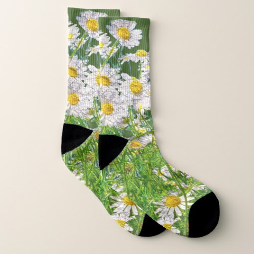 whackysocks - Visual