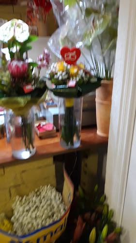 Avaliações doNaturalíssima Flores & Companhia em Vila Nova de Gaia - Floricultura