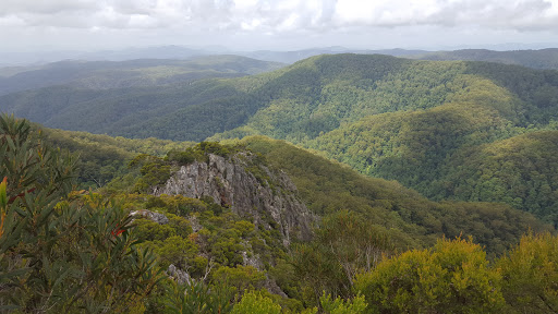 Tapin Tops National Park - Thumbnail