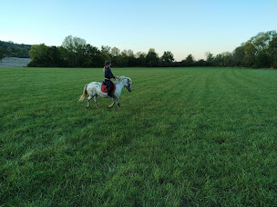 Photo n°18 de Les Poneys de Monthoiron à Monthoiron (Club d'équitation)