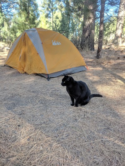 Turtle Rock Park Campground