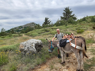 Photo n°5 de Les Ânes d'Artémis à Albon-d'Ardèche (Centre de randonnée équestre)