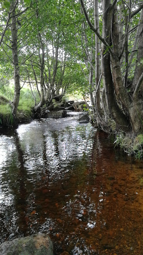 Sheepwash - Visual