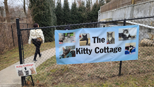 petRescue - Thumbnail