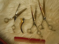 美容室アジアスープ