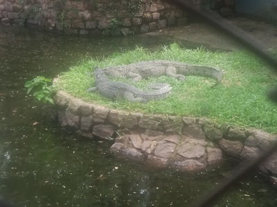 Photos of Zoological Garden