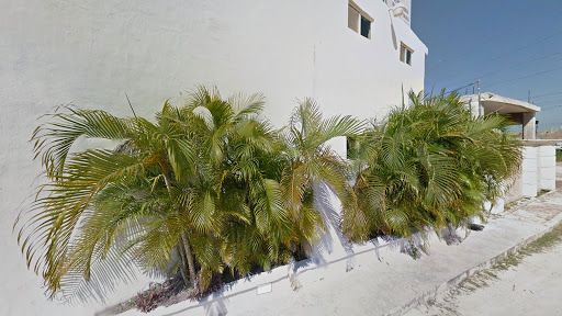 Azul Avila Microblading & Lashes Studio Cancún