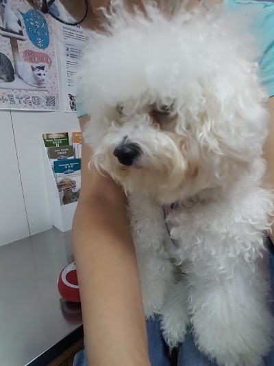 Photos of Dr. George's Veterinary Medical Center