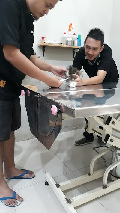 Photos of Praktek Dokter Hewan Cemara