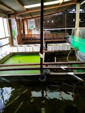 Jatipond Fish, Author: Sultan Harris Zulkarnaen