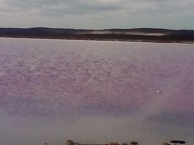 Pink Lake