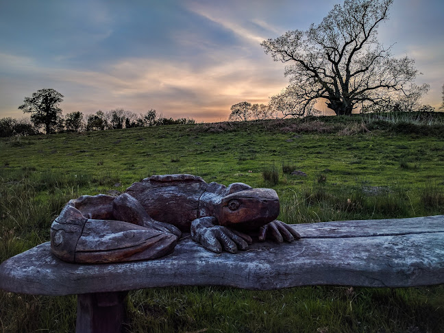 Chilston Ponds, Heaths Countryside Corridor - Landscaper