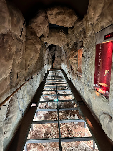 Mount Gambier Visitor Centre - Thumbnail