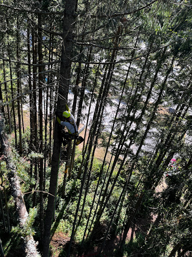 Elevated Adventures - Visual