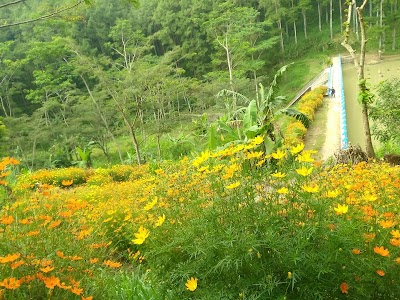 Photos of Embung Kuniran