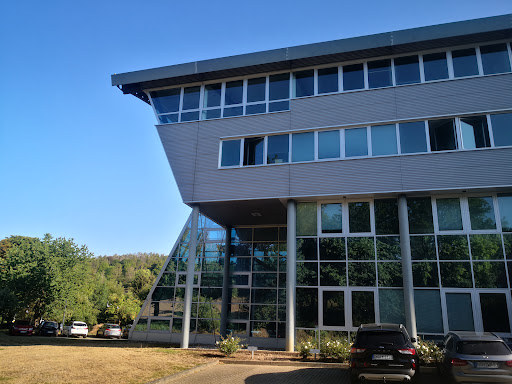 Göttinger Lesezirkel - Visual