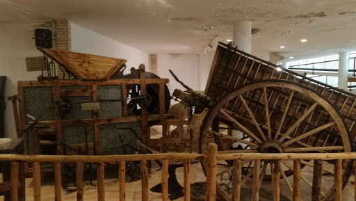 Museo del Aceite - Thumbnail