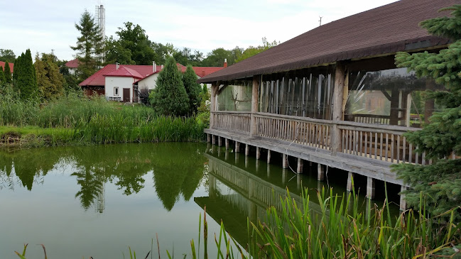 Comentarii opinii despre Dwór Bartla | Bartlowizna