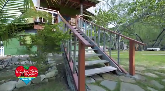 Blessings At Strawberry Fields by null