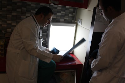 veterinary-care
